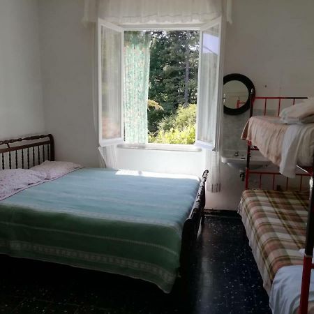 Albergo Delfino San Pietro d'Olba Ngoại thất bức ảnh